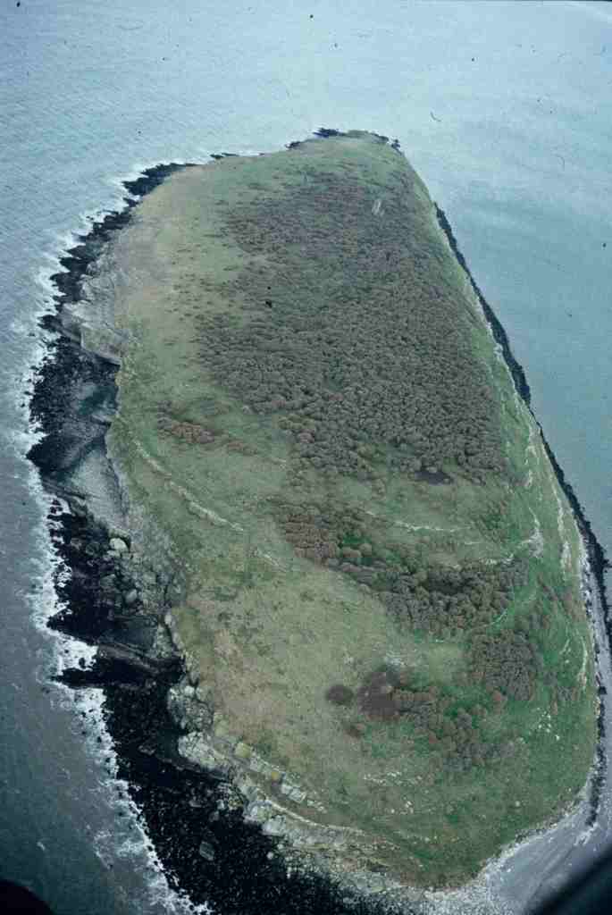 puffin island